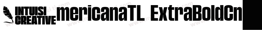 AmericanaTL ExtraBoldCn字体转换